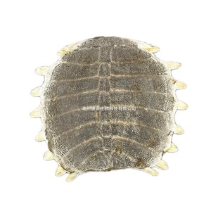 �M�� ���M�� ���M�״����M�׸��״��˸��� �M�� �����