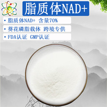 脂质体NAD+70%脂质体包裹NMN前体全酶法β-烟酰胺腺嘌呤二核苷酸