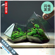 微景观苔藓雨林缸几何森林墙玻璃花房不规则生态瓶多肉水草缸花盆