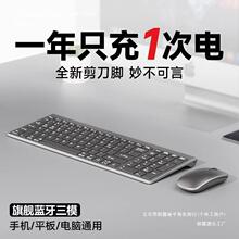 �����ģ�{���o���I�P������b�Pӛ����X�֙C�k���o����늿�o��