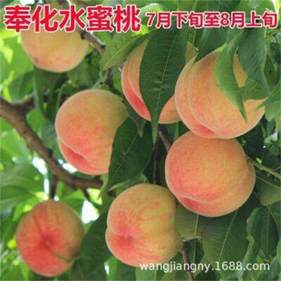 �ˮ������Ʒ�N��ͮ�x���Ҙ����\���S���´��u���A���Ҽ޽��Ҙ�