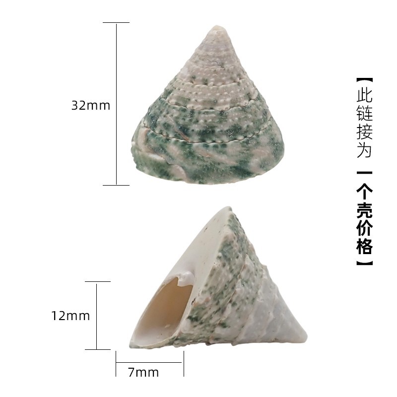 2-3cm 크랩에 적합한 X15 녹색 타워 달팽이