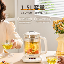 荣事达纯钛养生壶多功能家用双层防烫烧水壶全自动办公室煮茶器