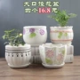 透气陶瓷一体办公花盆