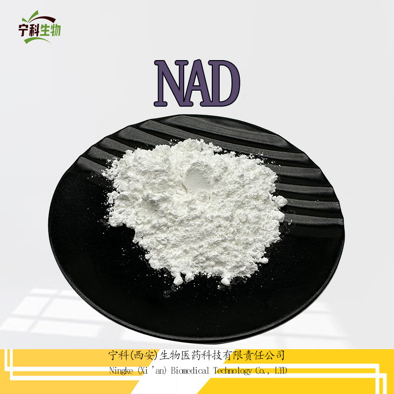 NAD NAD+烟酰胺腺嘌呤二核苷酸 53-84-9 烟酰胺腺嘌呤 现货