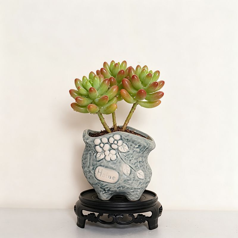 Succulent flower pot, ceramic, elegant, Korean-style, rustic pottery, creative, unique, cute, breathable, simple, frosted, for home desktop decoration