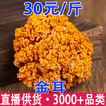 金耳 金耳干货 金耳菌 西藏金耳批发量大从优