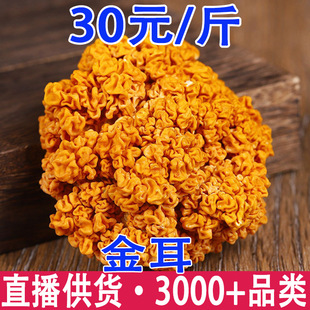 ��� �����؛ ����� ���ؽ�����l����ă�