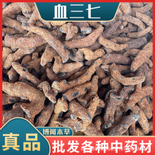 ���l�F؛ Ѫ���� �t����Ť���߱P���߸��\�Ž��I���N�䱳