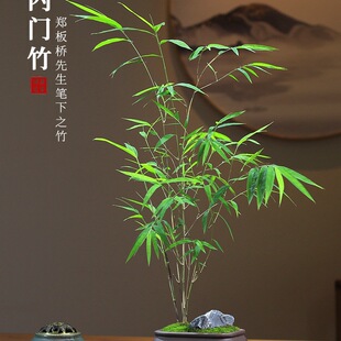 ���ڃ��T���������F�T�����҃�ͥԺ�������P�Gֲ�ļ����������辰