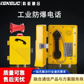 网络电话机;声讯系统;可视对讲