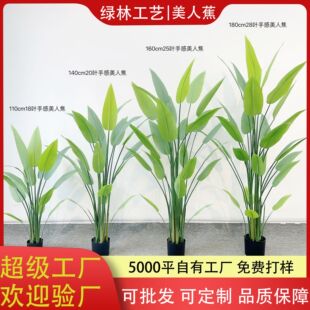 SֱN˽辰ָBֲ҃ȼٻ[͏d