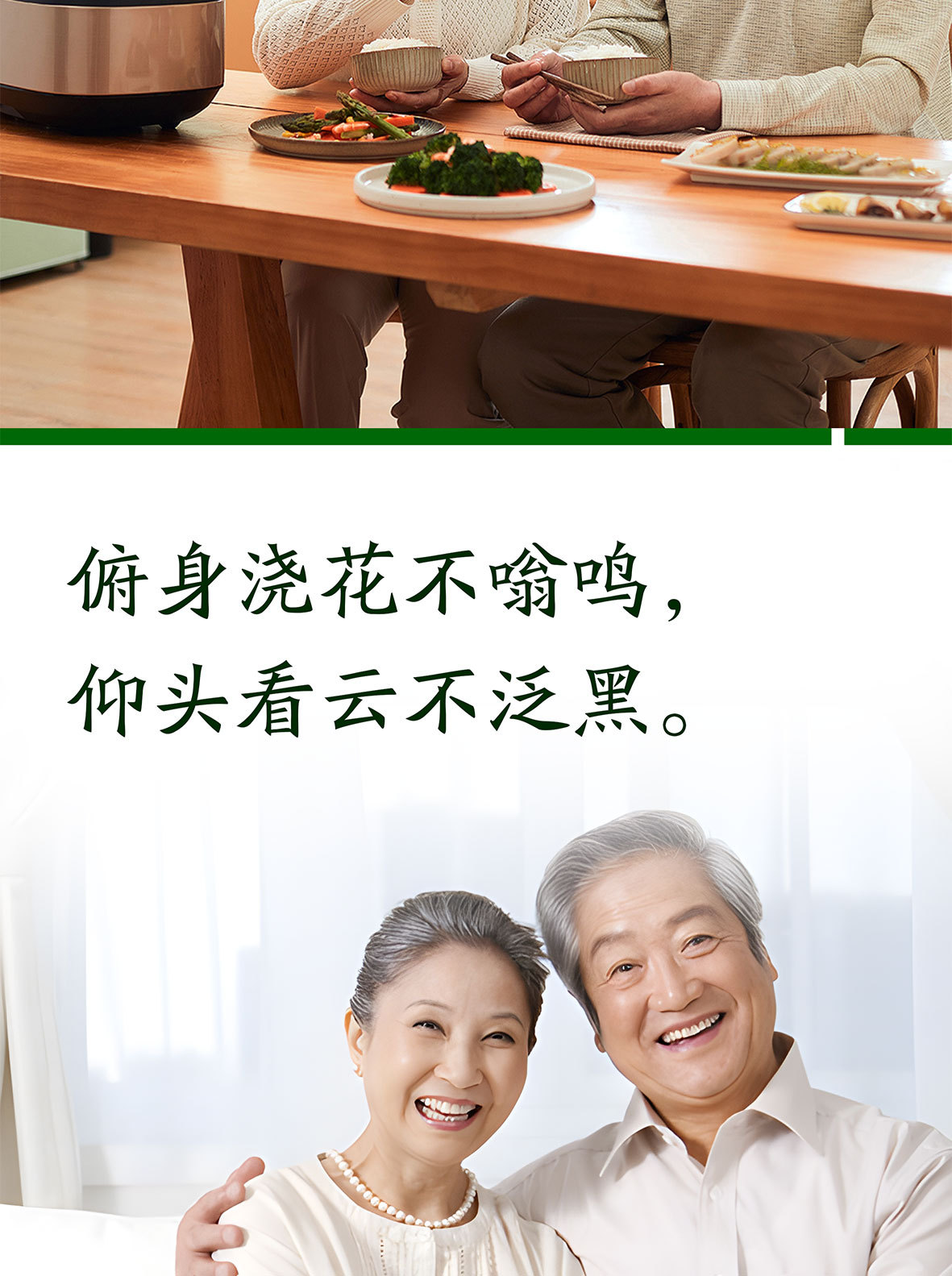 Tongmai Su Dan Shen Du Zhong Luo Bu Ma Ye Capsules 0.4g Traditional Herbal Support for Middle-Aged and Older Adults in use
