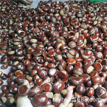 ��25��������Դ�^���S �ؼ����� 40-60/30-40/40-50KG