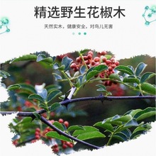 鹦鹉用品用具花椒木站杆鸟用磨爪磨牙棒八哥鹩哥站棍站杠鸟笼配件