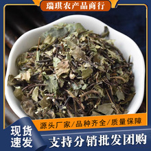 络石藤中药材络石腾白花藤爬山虎软筋藤络石草爬墙虎络石屯中草药