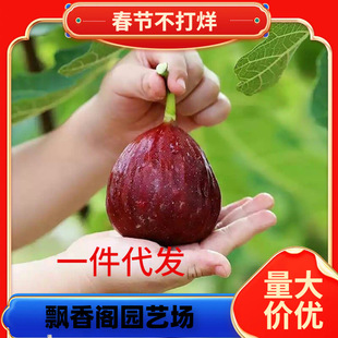 һ�����l�o��������粨���t�����Ե��԰��������ϱ�������Y���o