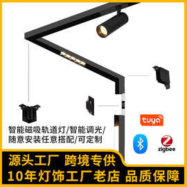 220V磁吸导轨灯嵌入式明装吊装加厚导轨条家用射灯智能无主灯照明
