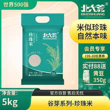 ���������������b2023����ĥ�|������510���˾F�L������1