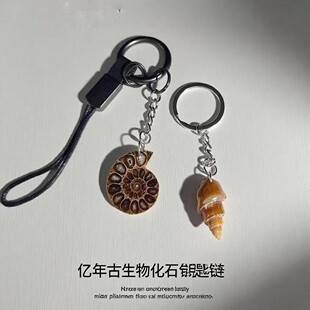 ��Ȼ�����ﺣ����ﻯʯ��ʯ���ݻ�ʯ耳�朒�������ղضY��ԭʯ
