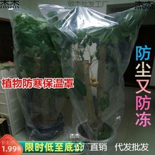 果树温室塑料套果苗保温植物防冻膜苗园冬季防尘罩养花户育苗室外