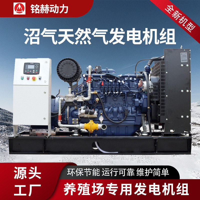 30kW 380V バイオガス発電機、養殖場用予備ガス発電装置、30kW バイオガス発電装置|undefined