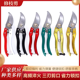 修枝剪;手锯、木工锯;篱笆剪