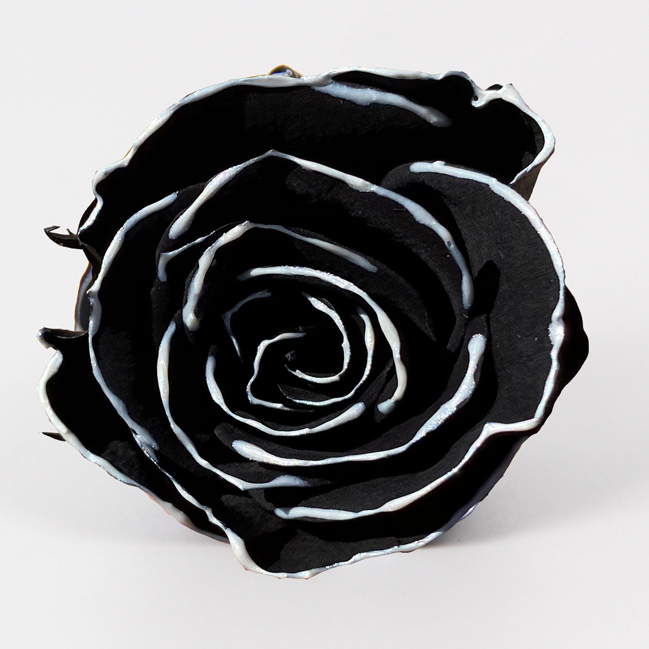 Grado una flor eterna pequeña fragancia Rosa fragancia serie de canciones Borde negro Rosa delineador de ojos flor seca floral caja de regalo de enseñanza ramo