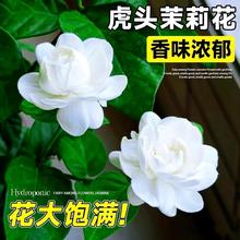 ���^���������ذ��Ϙ��Gֲ���҃ȿ͏d�����������ļ��_���ܺ��B