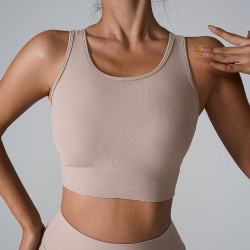 Ins 2024 Spring & Summer European and American Cross-Border Sports Bra with High-Intensity Shock Absorption Yoga Clothes Nudist Ribbed Sports Backless Bra