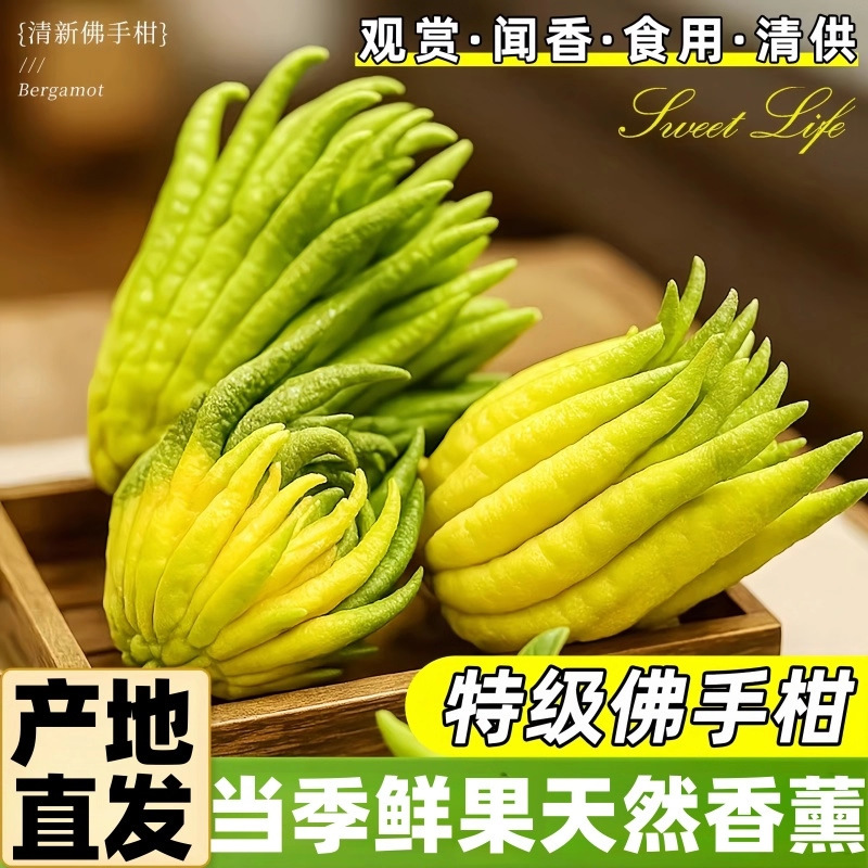 高山佛手柑果蔬贡品香橼闻香大果非金华带枝水培清供佛手干货鲜货