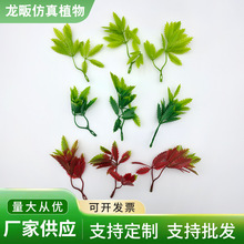 �p����~ˮ�����Ϸ���ݷ��滨����Gֲ�b[�P�~�ӷ���G�~�Ƶ�