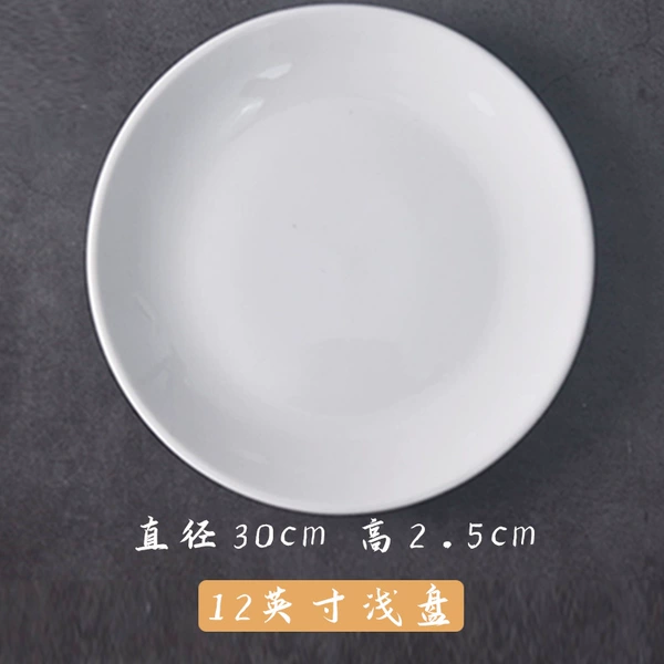 12 -inch shallow disk