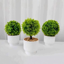 �羳�������������@�L�GɫСֲ��������Ԅ���[���bGֲ�辰