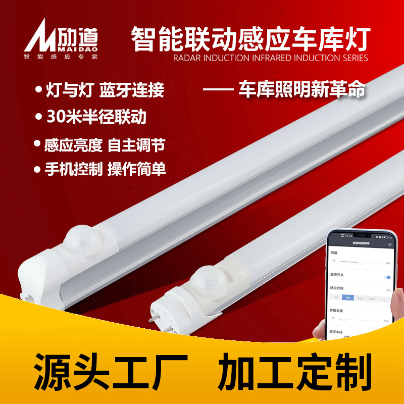 Induction linear light