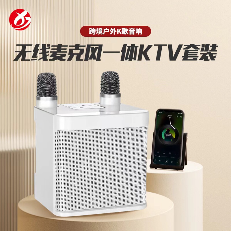 Cross-border home portable microphone integrated KTV Bluetooth speaker YS203 wireless audio outdoor singing combination