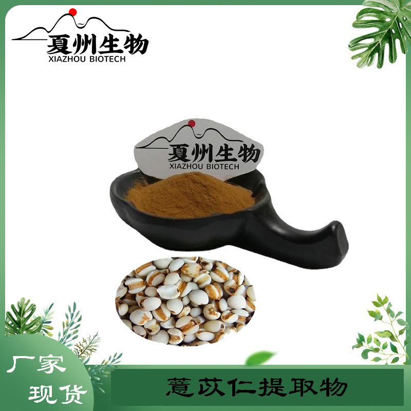 薏苡仁提取物10/20/30/50:1  薏仁粉  薏苡仁粉  夏州生物供应