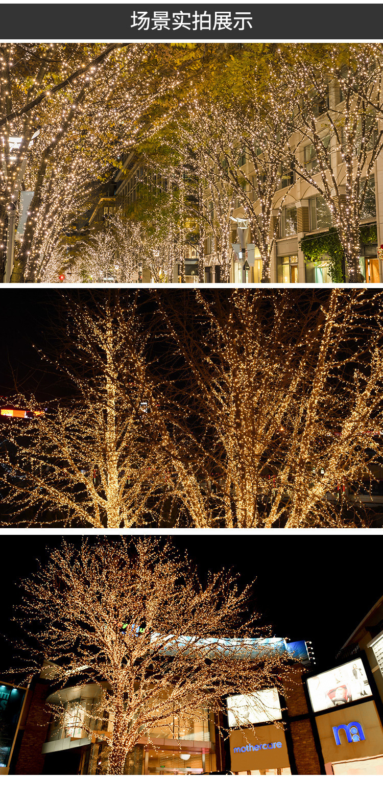 太阳能铜线灯_09.jpg?x-oss-process=image/format,png