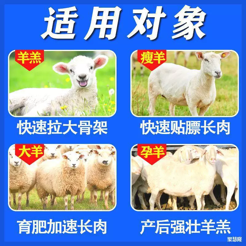 Овцы откармливали, откармливали и откармливали, козы откорма для овец