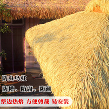 ���⼚�z����é��������¿ë�ݷ��浾�������ȼé�����ܵ���