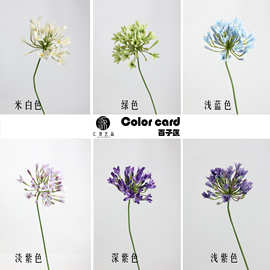 工厂直销 仿真花百子莲非洲堇假花 欧式花艺设计婚庆摄影造景配材