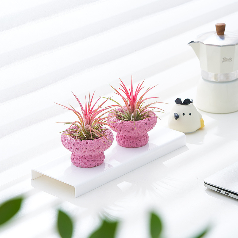 7122585e-1ebf-430b-b948-b339d6f64cfb.jpe