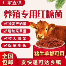 50�������Bֳ�F�üt��EM������l�ͼt���r�I�Nֲˮ�a�Bֳ�t��