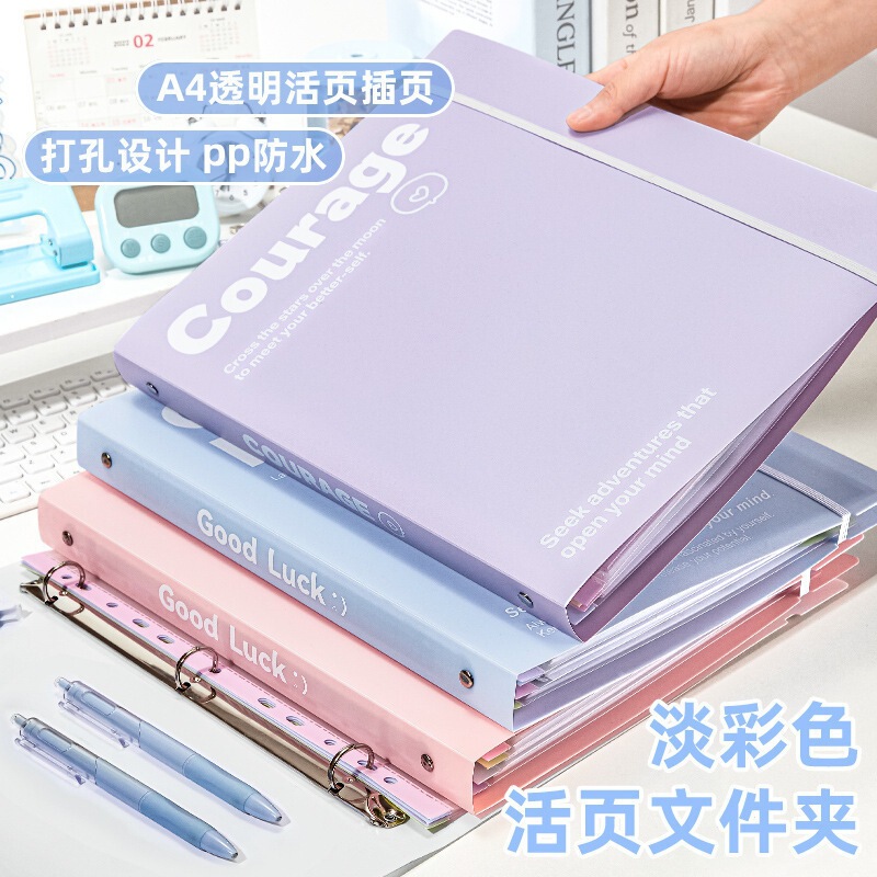 Loose-Leaf Folder Inserts, Transparent Document Holder, Test Paper Storage, Inspection Storage Bag, Study Materials