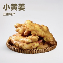 小黄姜云南特产批发姜子姜云南小黄姜批发姜子姜小黄姜