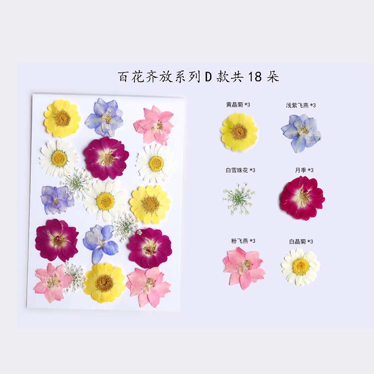 Paquete de material en relieve jardín de infantes en relieve DIY marcador epoxi flor seca caja del teléfono en relieve planta muestra