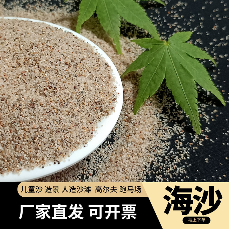 厂家供应儿童玩具沙圆粒海沙 沙坑填充海沙 装饰造景