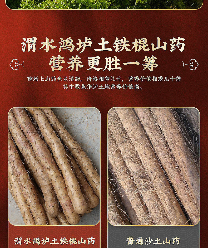 Wushen Soup Herbal Blend Five Herb Decoction Pack with Chinese Yam Poria Lotus Seed Euryale and Taizishen for Soup and Congee key features