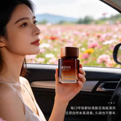 Car Perfume Aromatherapy | Fragrance High-End Car Aromatherapy