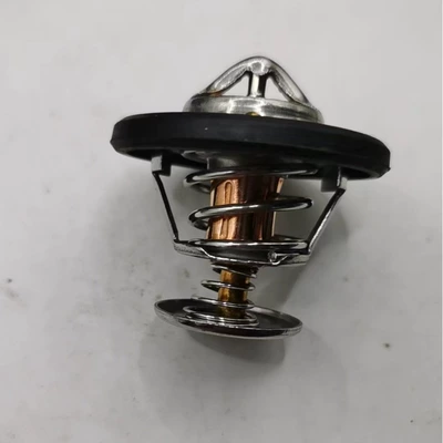 Applicable Parkins Thermostat